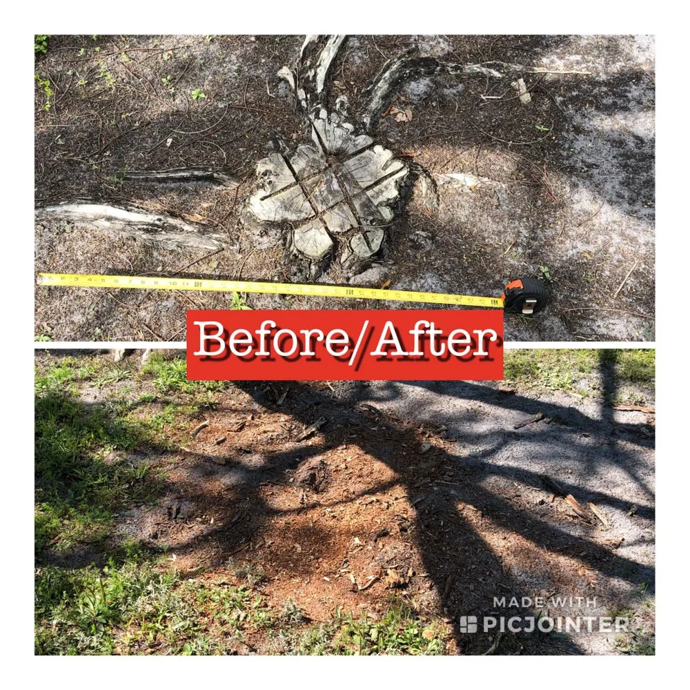 Custom yard cleanup service experts serving Merritt Island, FL - Stump-X