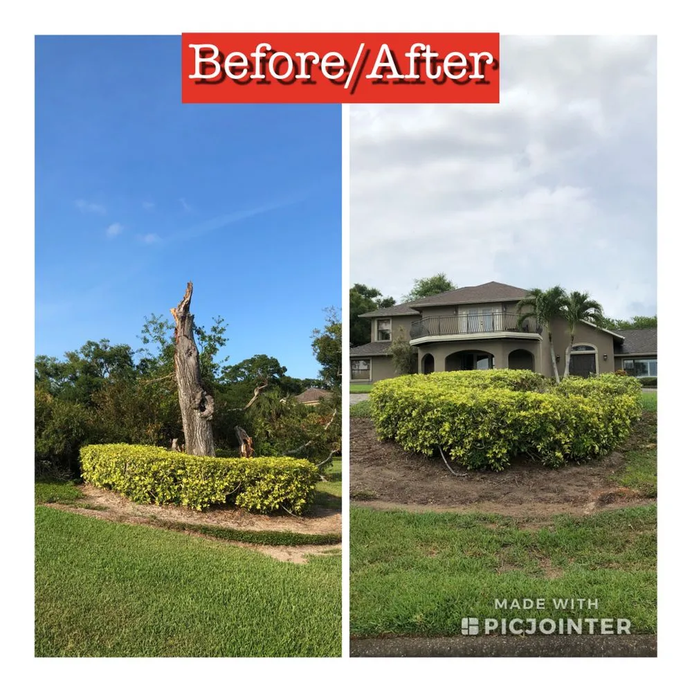 Expert landscape installation in Merritt Island, FL - Stump-X