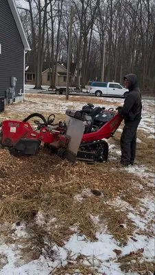 Stumped By Stumps Tree Service Logo