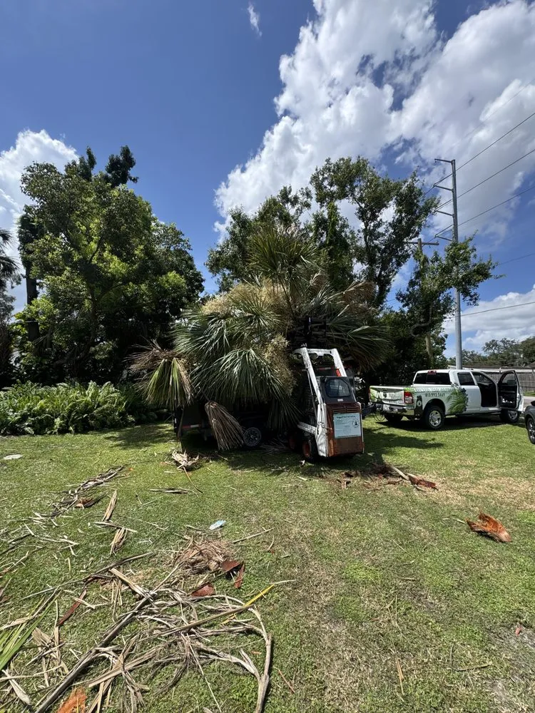 Top-rated yard maintenance for beautiful yards across Riverview, FL - Stumped Tree Service