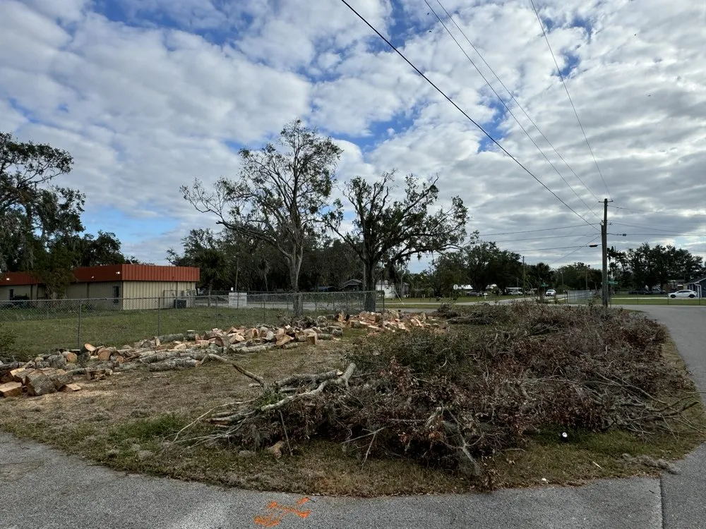 Trusted yard cleanup service for homes in Riverview, FL by Stumped Tree Service