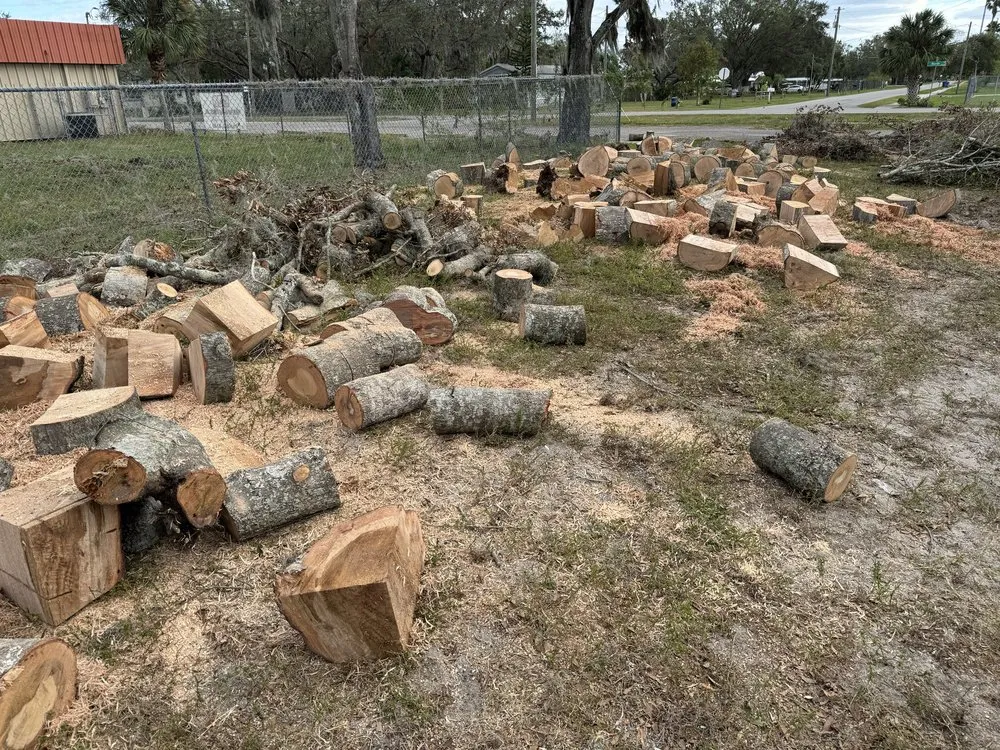 Custom garden landscaping experts serving Riverview, FL - Stumped Tree Service