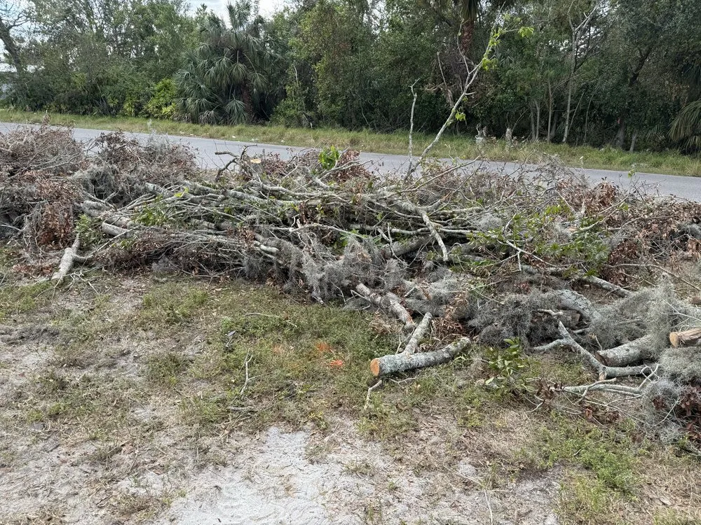 Expert residential landscaping in Riverview, FL - Stumped Tree Service