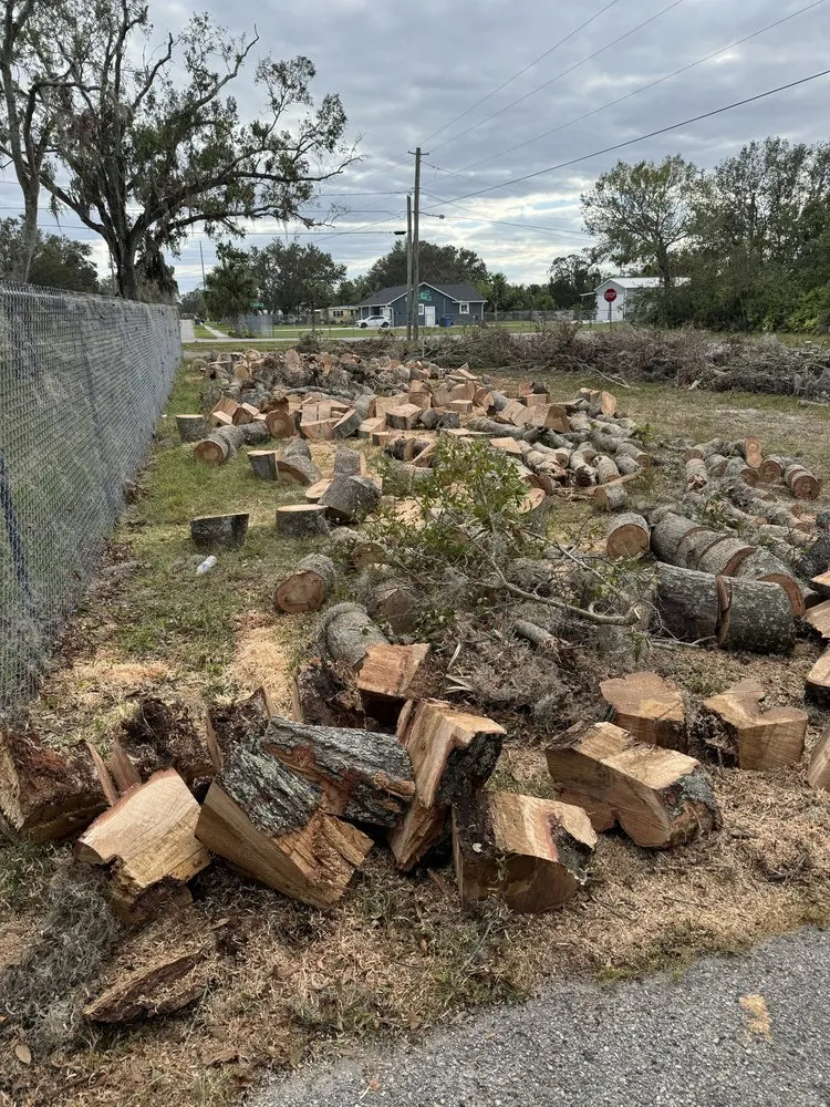 Custom yard maintenance in Riverview, FL - Stumped Tree Service