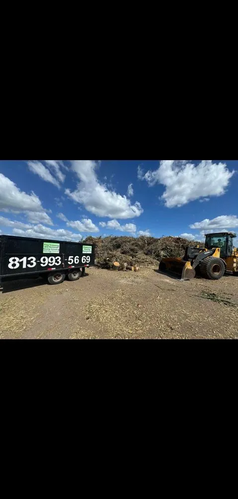 Professional outdoor landscaping in Riverview, FL - Stumped Tree Service