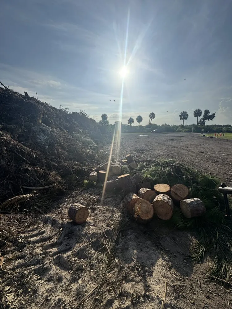 Expert yard maintenance in Riverview, FL by Stumped Tree Service