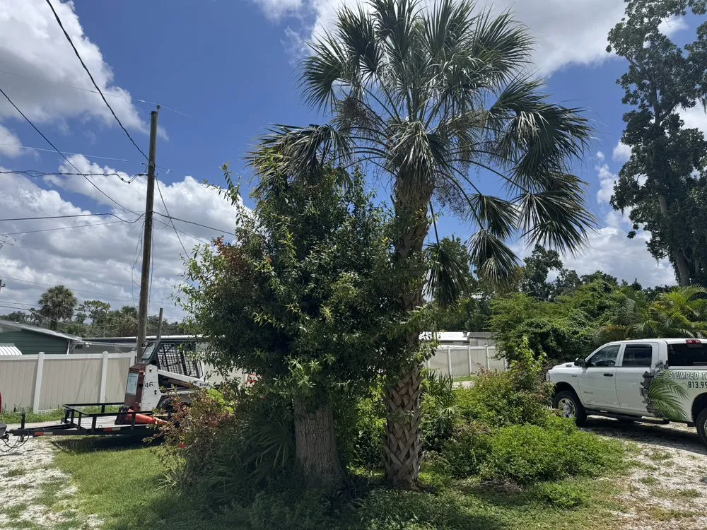 Trusted lawn care service for homes across Riverview, FL - Stumped Tree Service