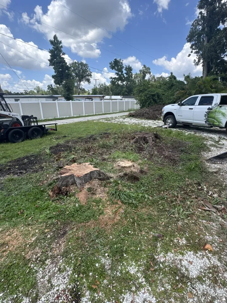 Custom landscape design experts serving Riverview, FL - Stumped Tree Service