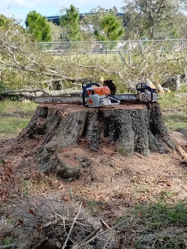 Local lawn mowing service near you across Riverview, FL - Stumped Tree Service