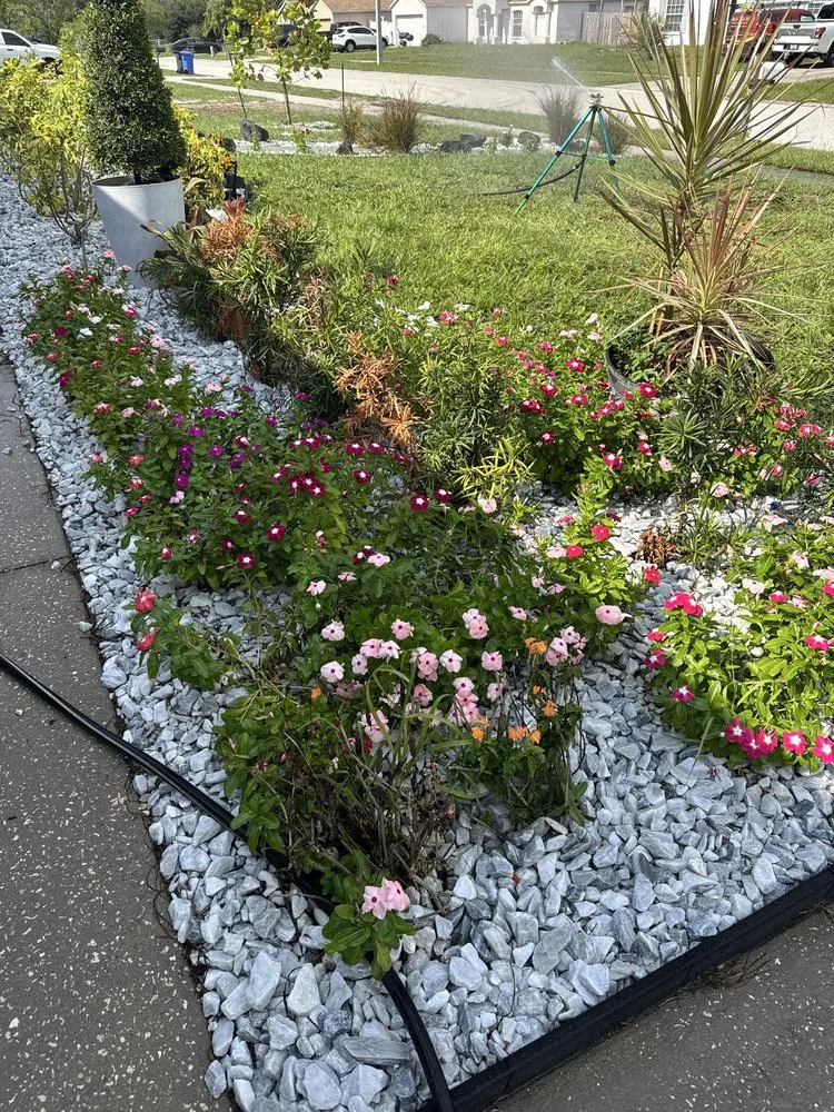 Local lawn mowing service near you in Riverview, FL by Stumped Tree Service