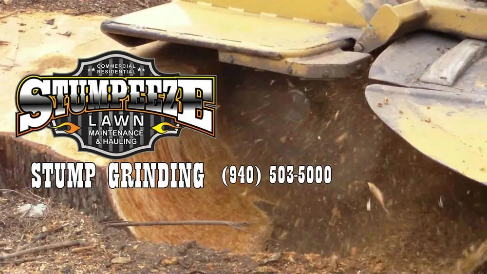 Top-rated garden landscaping in Burkburnett, TX - Stumpeeze