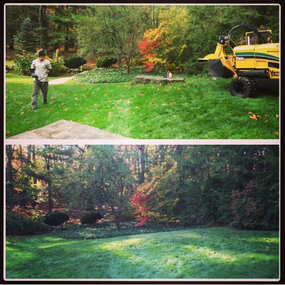 Professional yard cleanup service for beautiful yards in Trumbull, CT by Stumpers