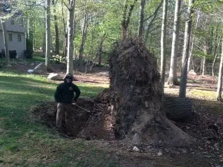 Professional landscaping services in Trumbull, CT by Stumpers