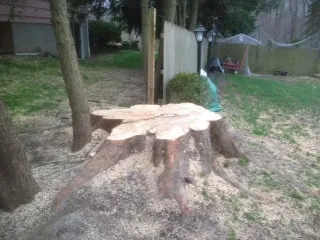 Local lawn care service for outdoor upgrades across Trumbull, CT - Stumpers