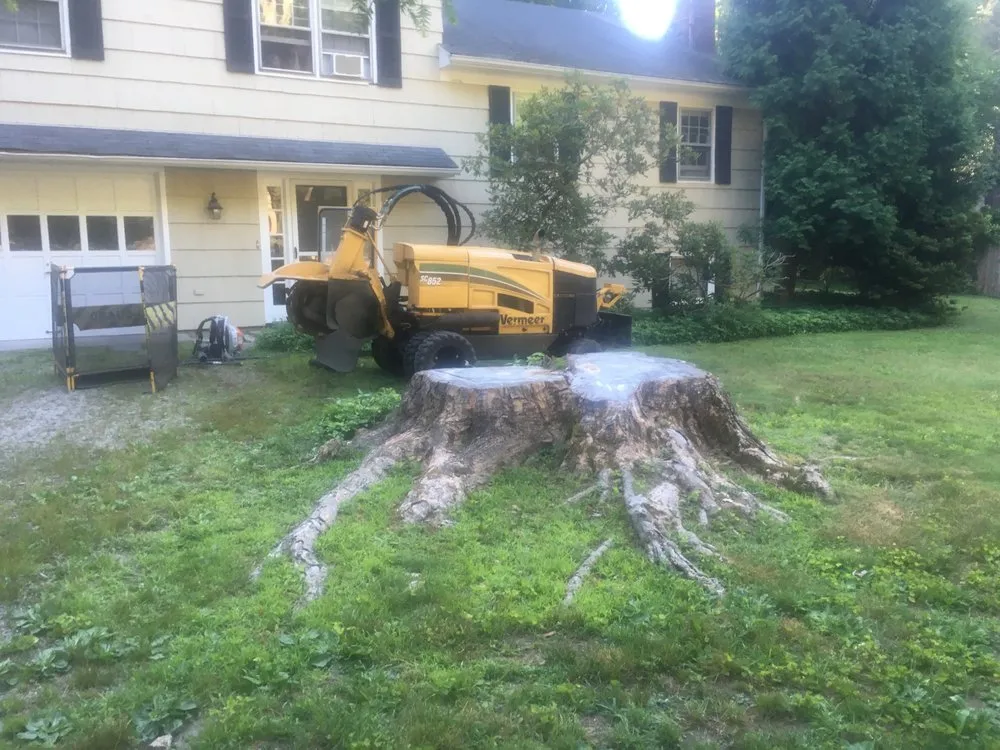 Local lawn care service near you in Trumbull, CT by Stumpers