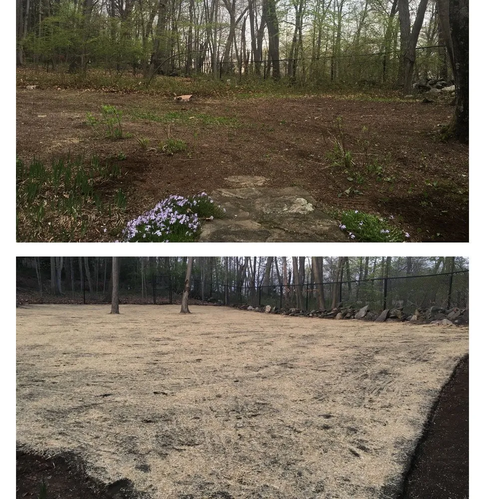 Local lawn care service in Trumbull, CT by Stumpers