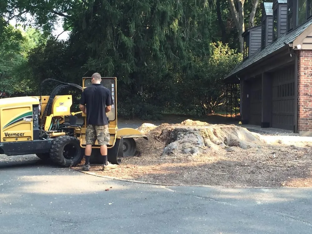 Expert lawn care service experts serving Trumbull, CT - Stumpers