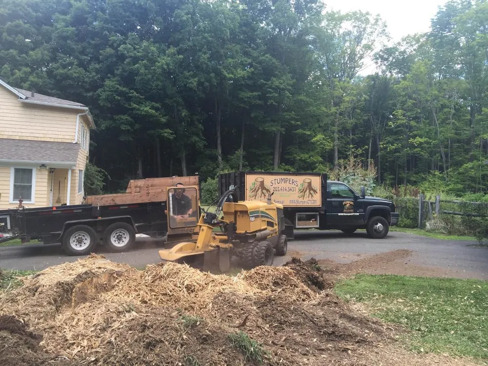 Affordable residential landscaping in Trumbull, CT by Stumpers