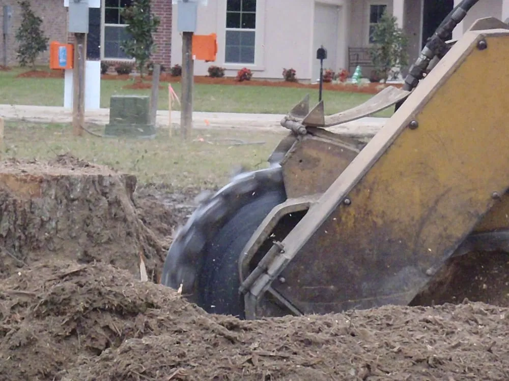Affordable residential landscaping in Covington, LA - Stump'Es Stump Grinding