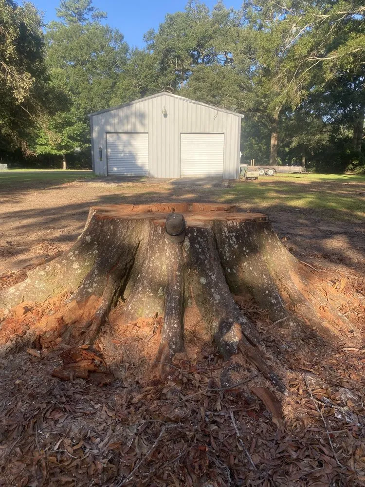 Affordable lawn care service experts serving Covington, LA - Stump'Es Stump Grinding