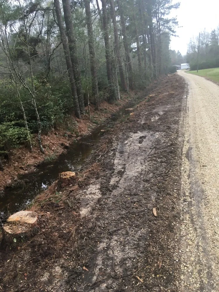 Top-rated lawn care service in Covington, LA - Stump'Es Stump Grinding