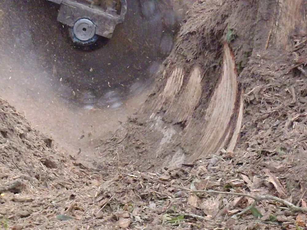 Local yard maintenance for homes across Covington, LA - Stump'Es Stump Grinding