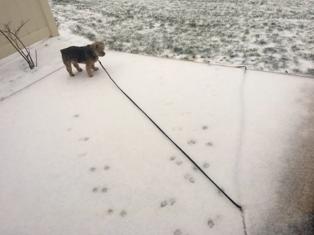 Trusted landscaping services in Mountville, PA - Stumpf's Lawn Care