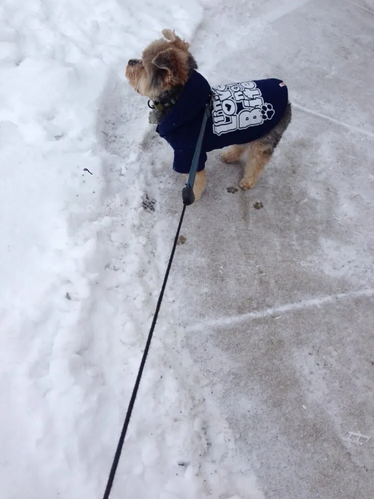 Professional lawn mowing service in Mountville, PA - Stumpf's Lawn Care