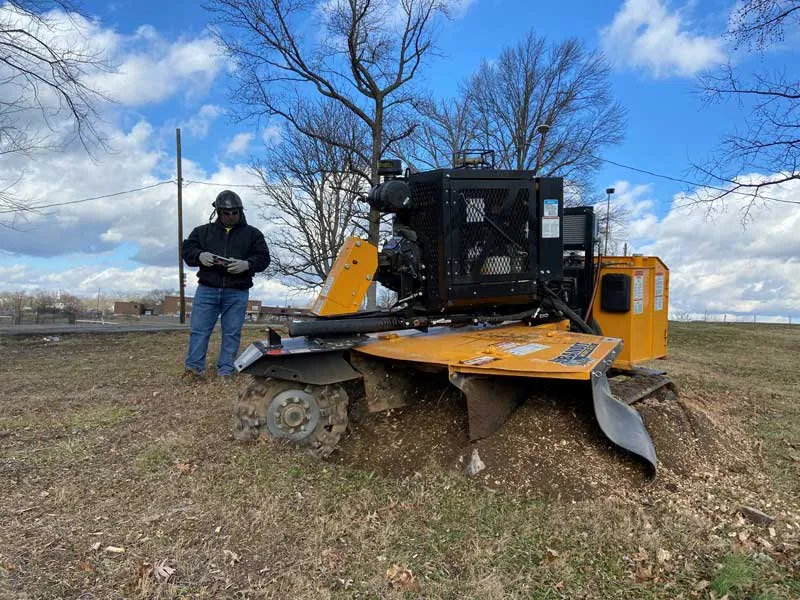 Custom landscaping services in Lake Charles, LA by Stumpros Stump Grinding