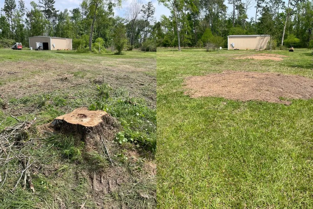 Expert landscape design in Lake Charles, LA by Stumpros Stump Grinding