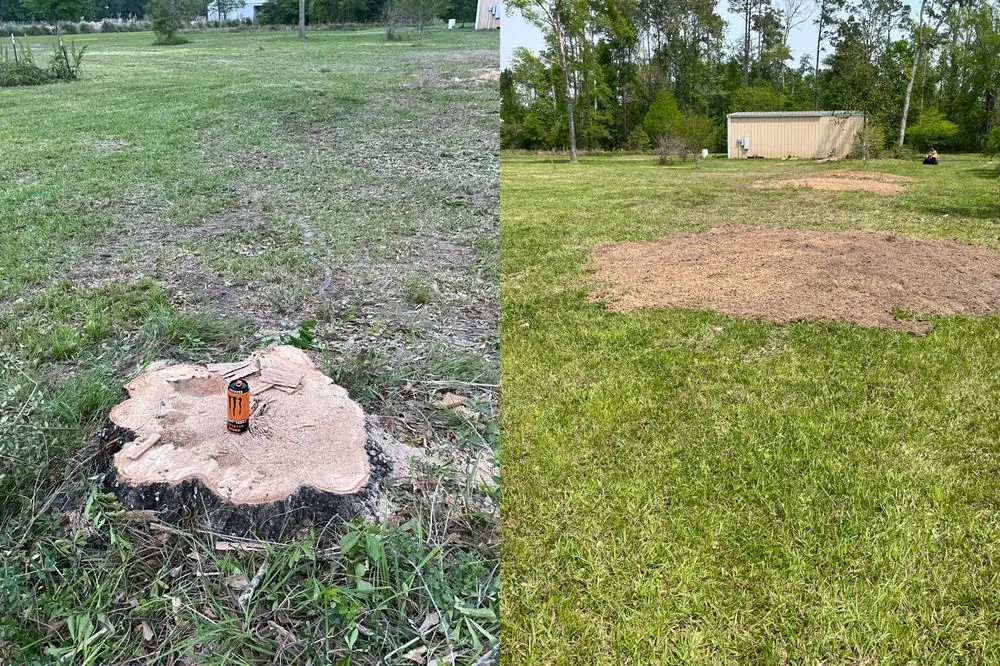 Professional yard cleanup service experts serving Lake Charles, LA - Stumpros Stump Grinding