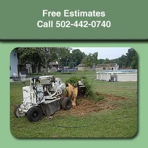 Expert lawn mowing service in Louisville, KY by Stumps-B-Gone