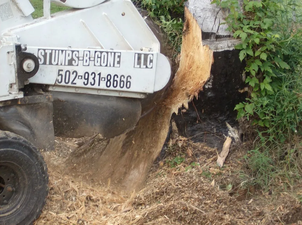 Affordable outdoor landscaping in Louisville, KY by Stumps-B-Gone