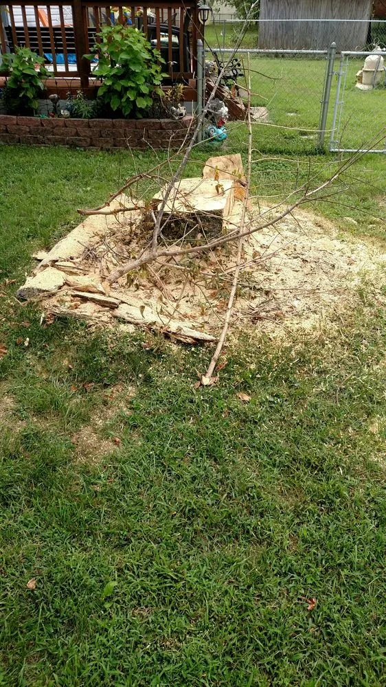 Custom landscape design experts serving Louisville, KY - Stumps-B-Gone