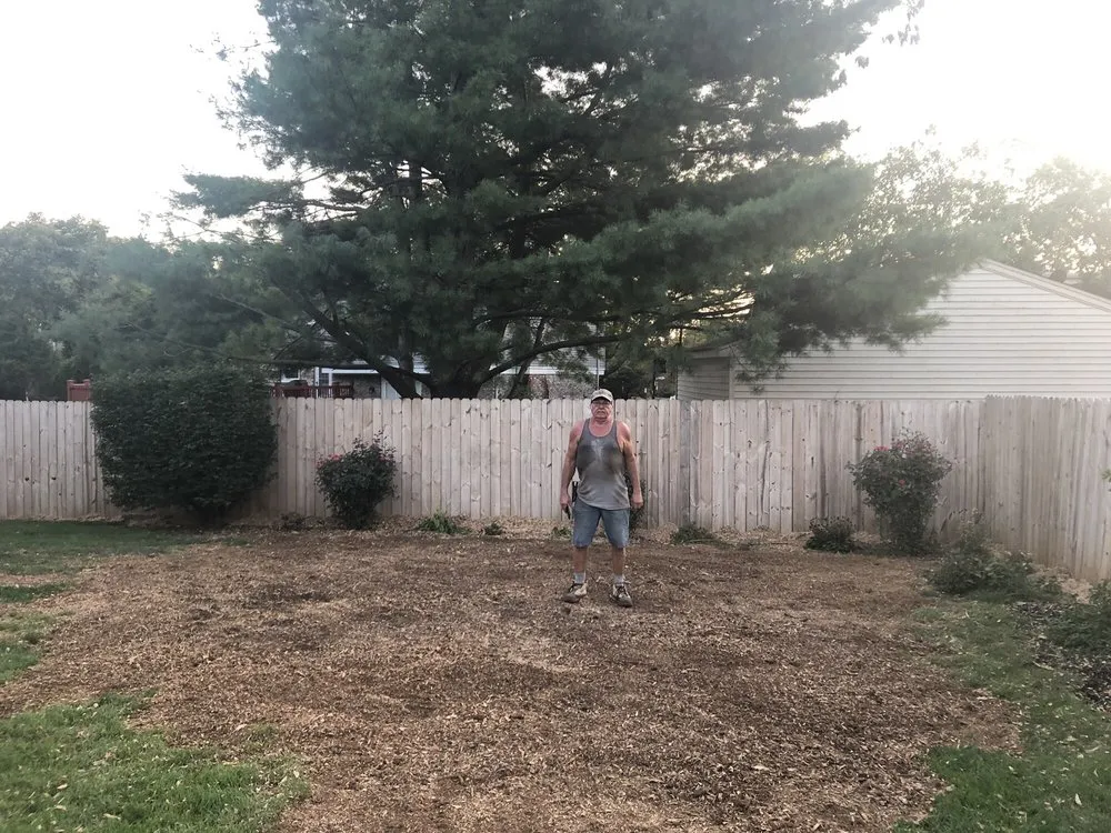 Reliable yard maintenance in Louisville, KY - Stumps-B-Gone