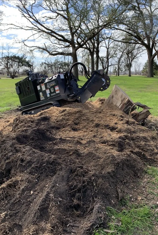 Professional lawn mowing service for year-round maintenance in Augusta, GA by Stumps Be Gonee