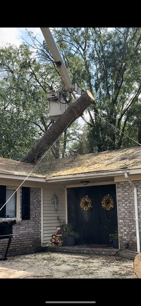 Local yard cleanup service in Augusta, GA - Stumps Be Gonee