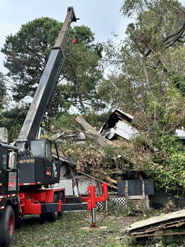 Expert garden landscaping in Augusta, GA by Stumps Be Gonee