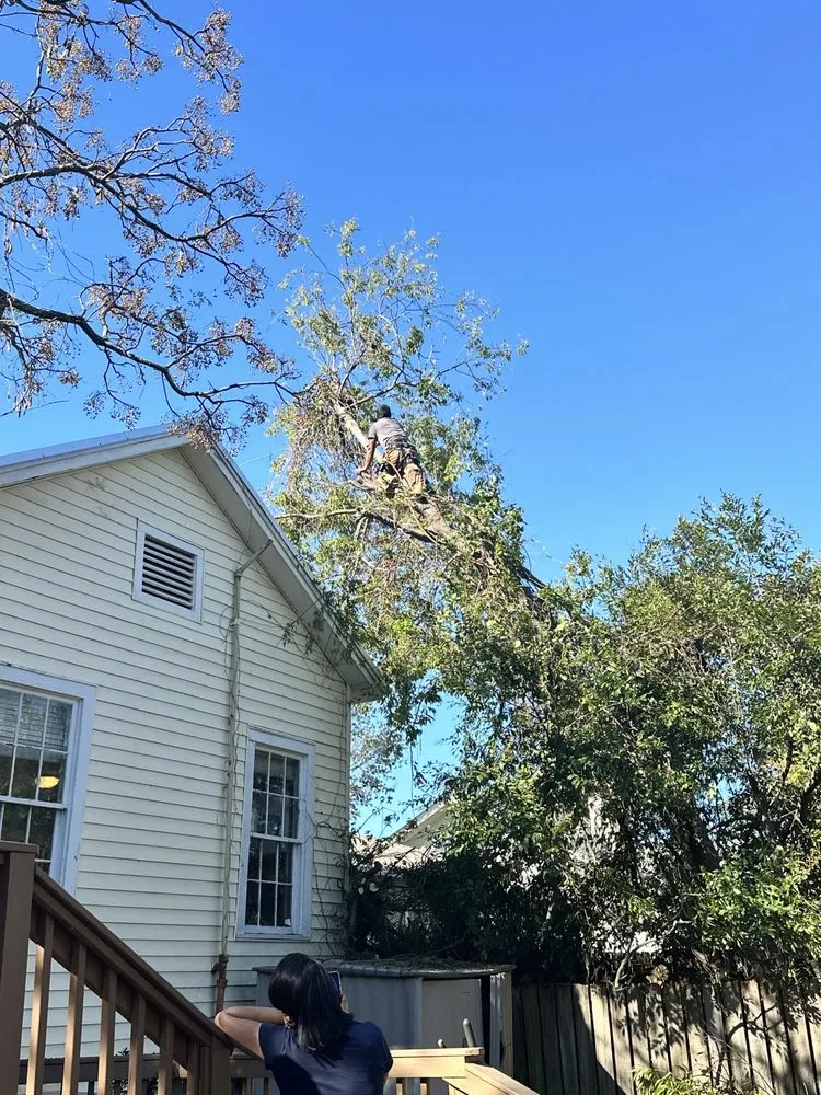 Expert yard cleanup service for residential properties in Augusta, GA by Stumps Be Gonee