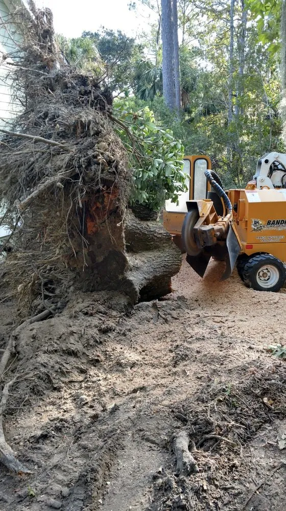 Reliable residential landscaping near you in Augusta, GA by Stumps Be Gonee