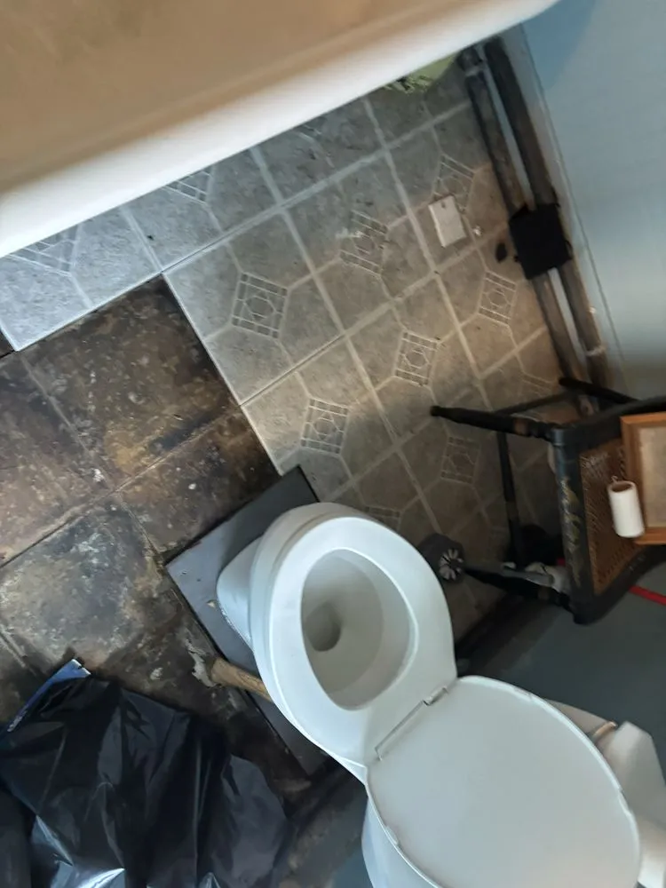 Custom yard cleanup service for year-round maintenance in Westland, MI by Stump's Home and Lawn Services