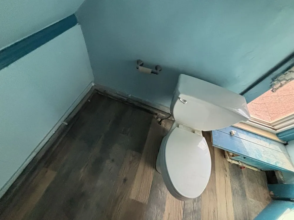 Professional yard cleanup service for year-round maintenance across Westland, MI - Stump's Home and Lawn Services