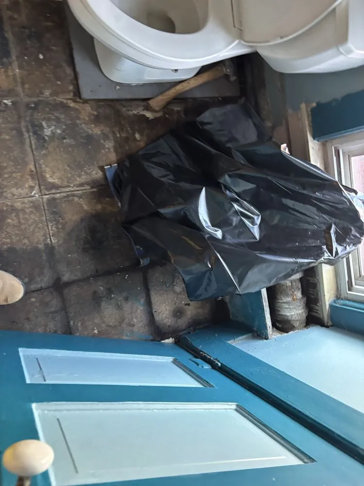 Affordable residential landscaping for beautiful yards across Westland, MI - Stump's Home and Lawn Services