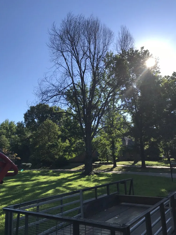 Custom outdoor landscaping in Pacific, MO by StumpsOut