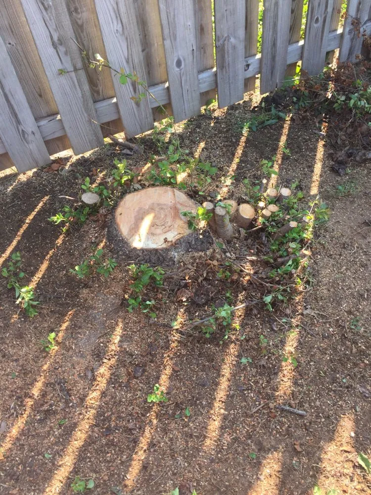 Affordable residential landscaping for year-round maintenance in Pacific, MO by StumpsOut