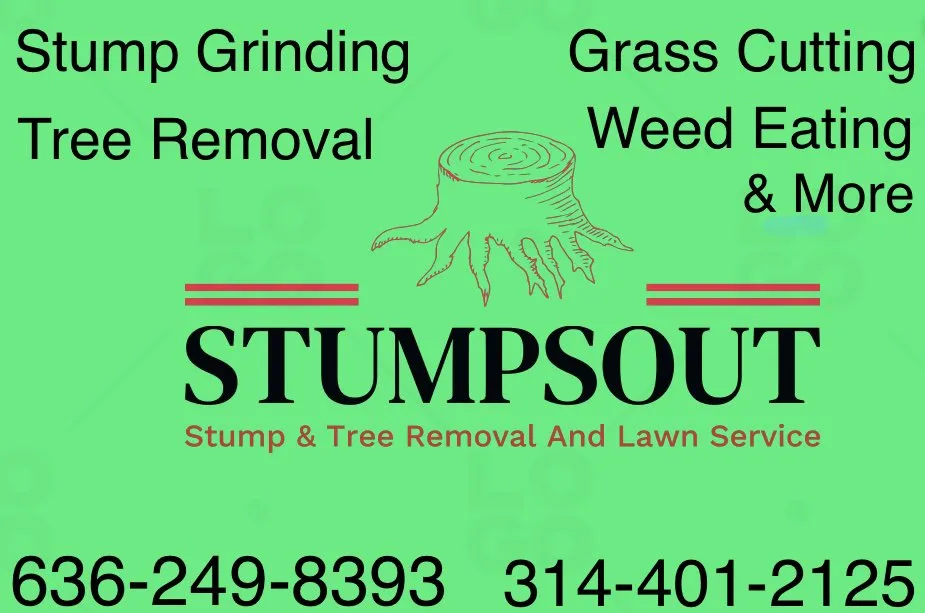 Top-rated landscape installation in Pacific, MO by StumpsOut