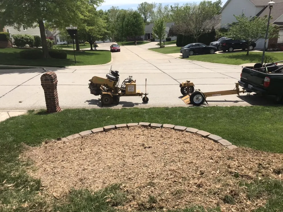 Local yard cleanup service experts serving Pacific, MO - StumpsOut
