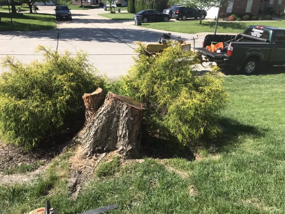 Reliable landscaping services in Pacific, MO - StumpsOut