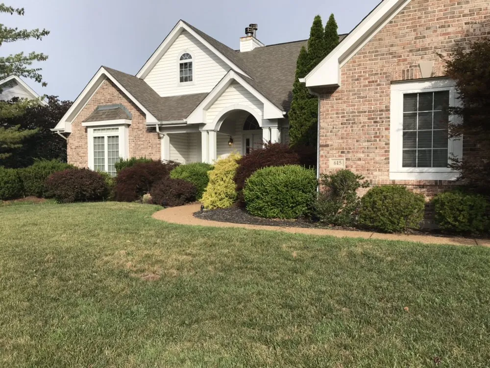 Top-rated yard cleanup service in Pacific, MO - StumpsOut