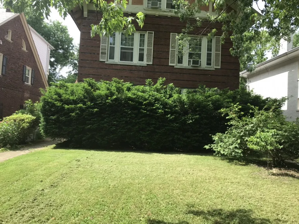 Custom outdoor landscaping in Pacific, MO - StumpsOut